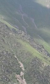 Райэль Арзиев