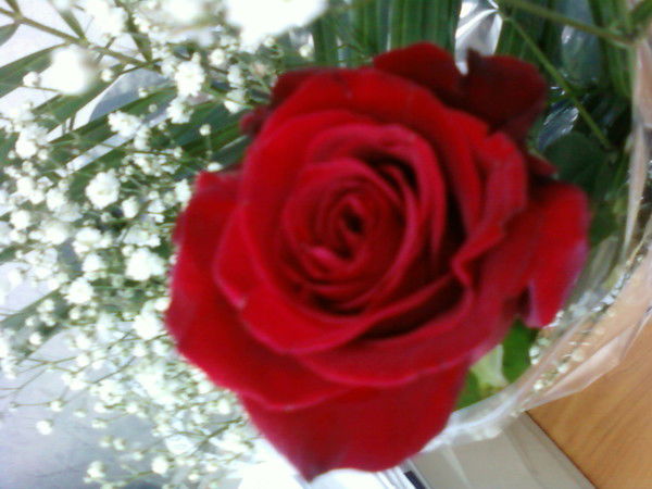 Айгуль Садрисламова