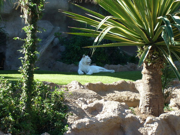 Исаева Гуля