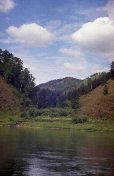 Александр Гребенщиков