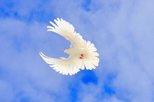 Клара Буланова