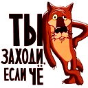 Александр Салоид
