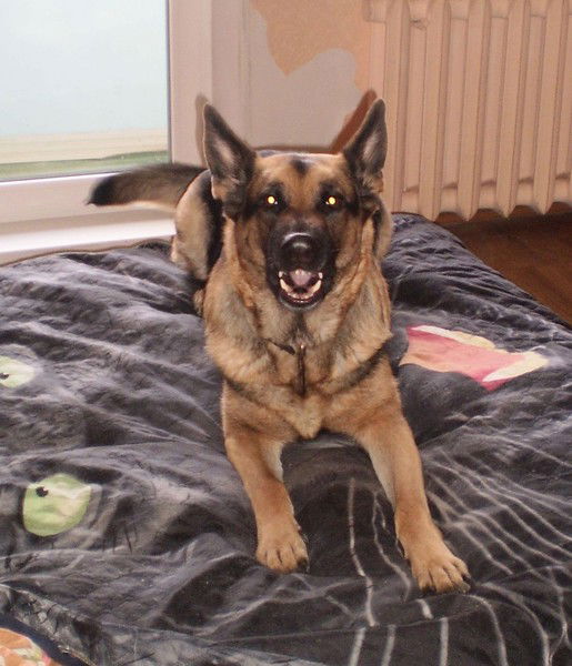 Лида Бигеева