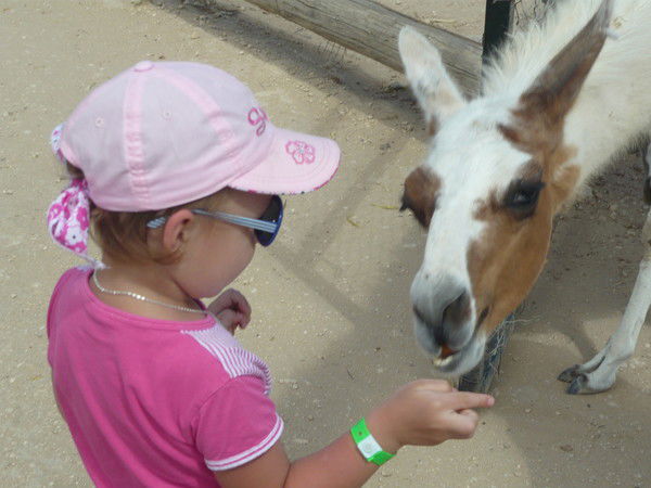 Антон Гришков
