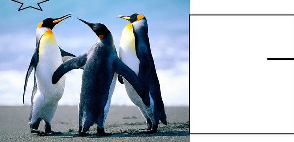 Маша Василевская