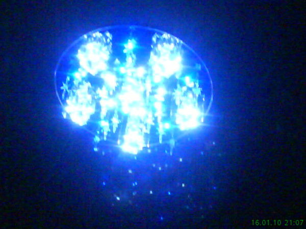 Светлана Кадошникова