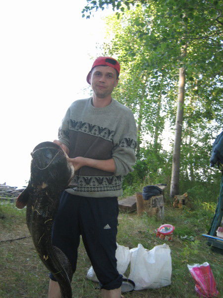 Дмитрий Гоцев