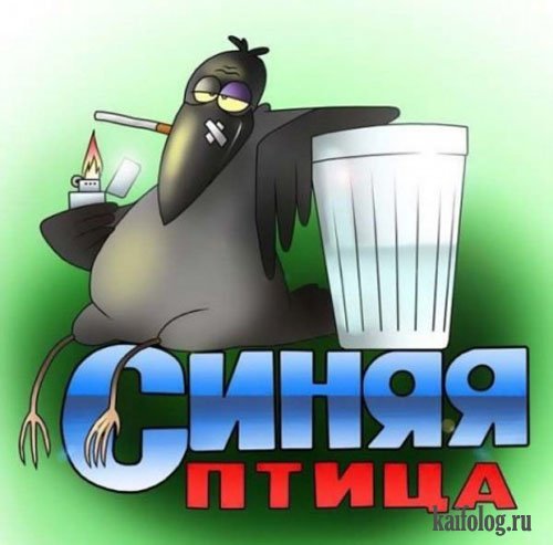 Сергей Тищенко