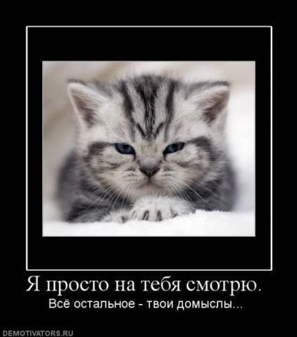 Асель Аль-Миски