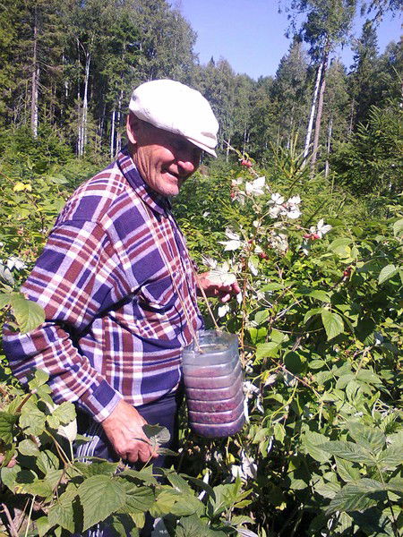 Василий Шарапановский