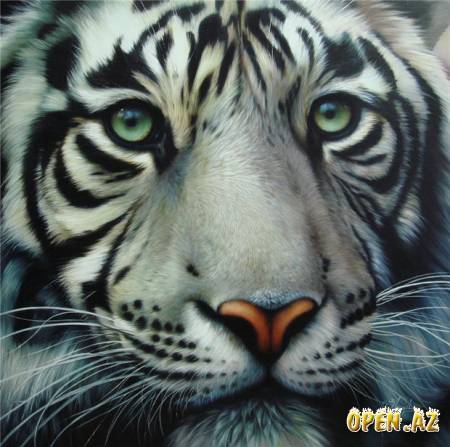 Юрий Дольберг