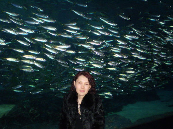 Жылдыз Асангазиева