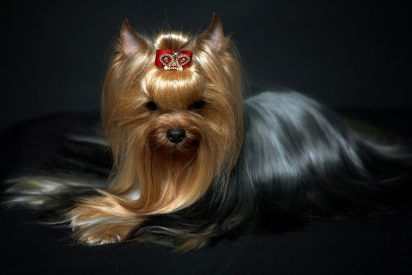 Ирина Федотова