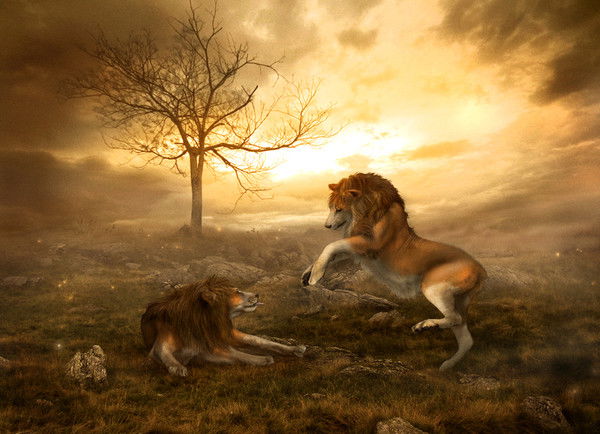 Александр Тот