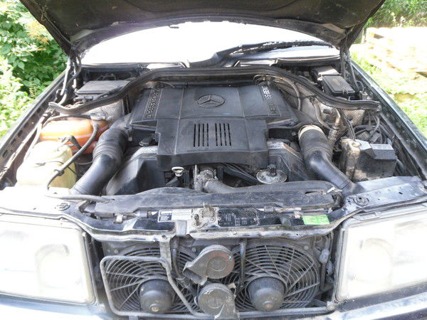 Артём Сорокин