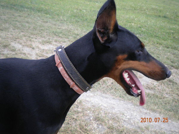 Андрей Змієнко