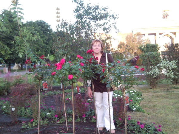 Елена Христова