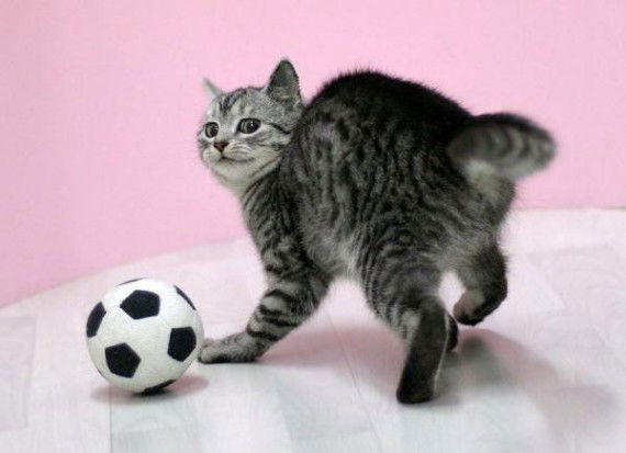 Слава Пантюхов