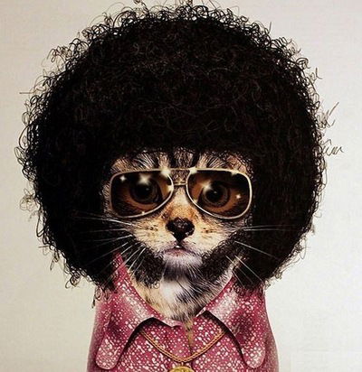 Дарья Прокофьева