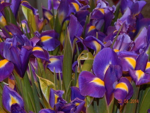 Алина Юдахина