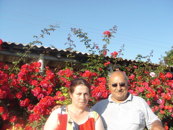 Гюляз Асадова