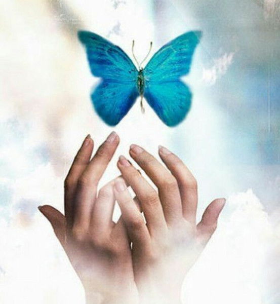 Жанара Синдикова