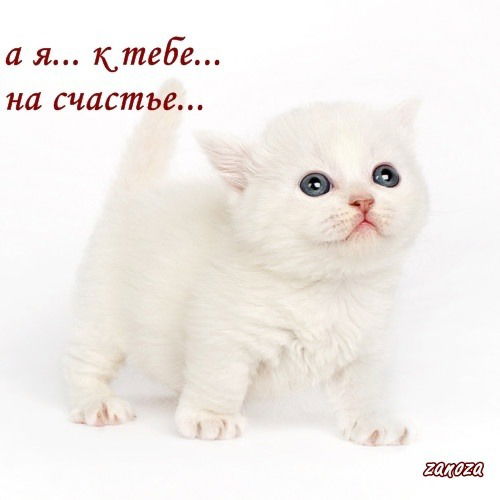 Татьяна Васильева