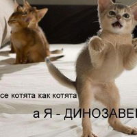 Миша Моногошев