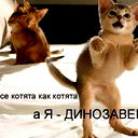 Миша Моногошев