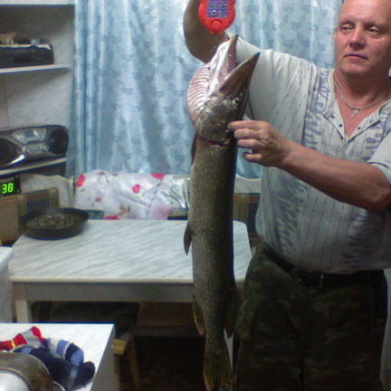 Михаил Фуражов