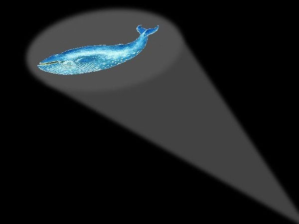 Александр Зуев