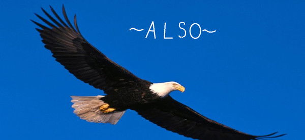 ~Ãĺšō~ ~Ãĺšō~