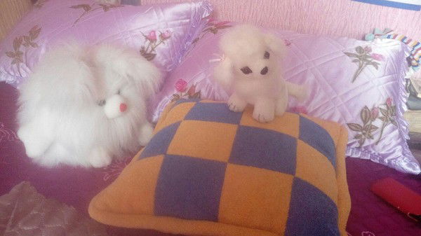 Надежда Свойкина