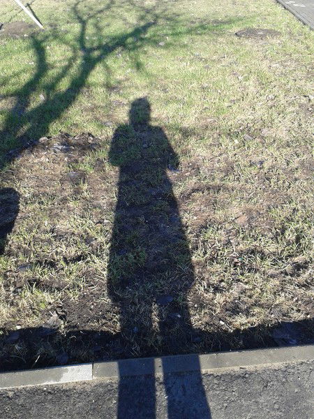 Наталия Моисеева