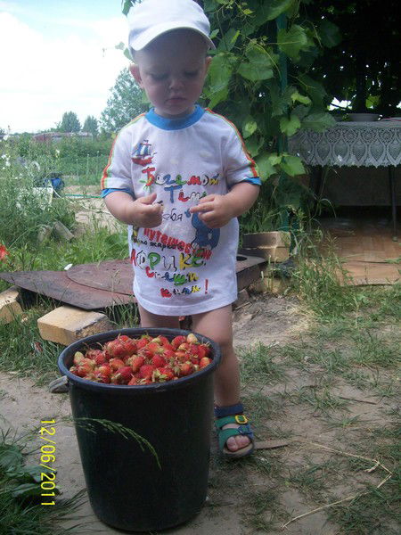 Виктор Кравченко