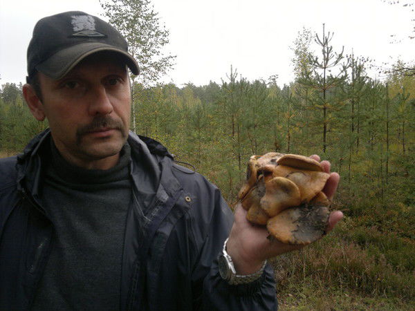 Константин Брижевский