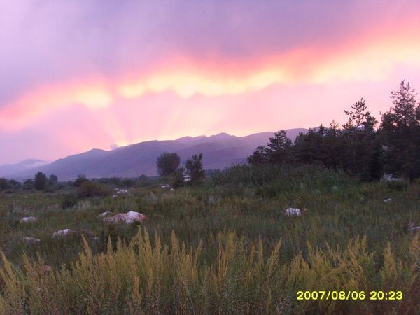 Гульнара Оралбаевна