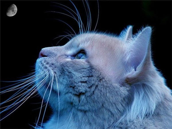 Альмира Саимова