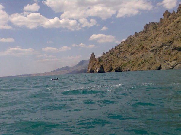 Елена Гречка