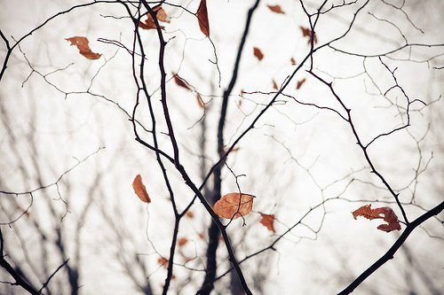 Аракс Казарян