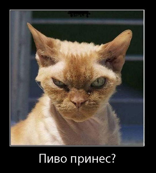 Александр Шантуров