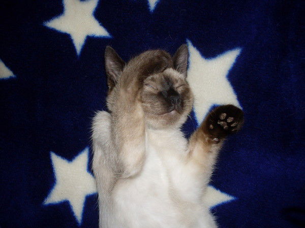 Алексей Когрин