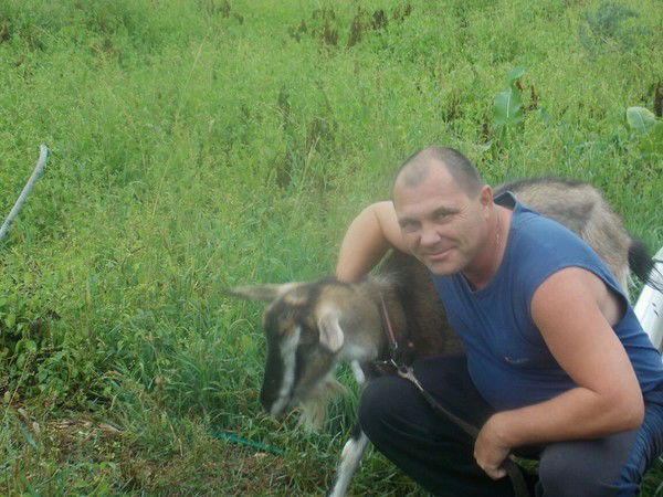 Капец Пипец