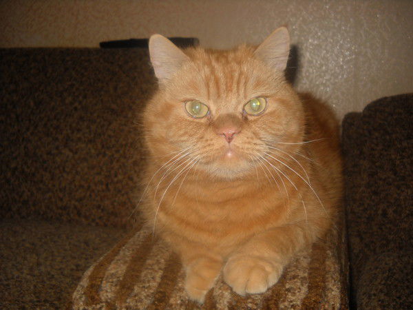 Наталья Квашнина