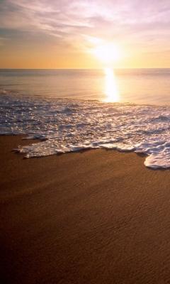 Марина Цурикова