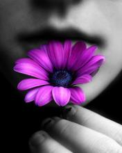 Kaтерина Головащенко