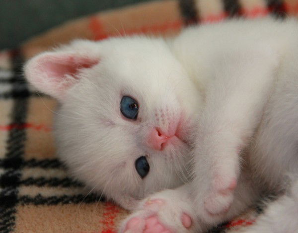 Татьяна Речкина