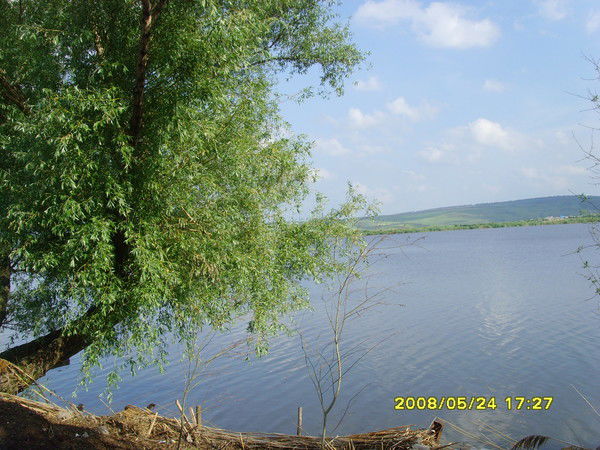 Сергей Турчинский