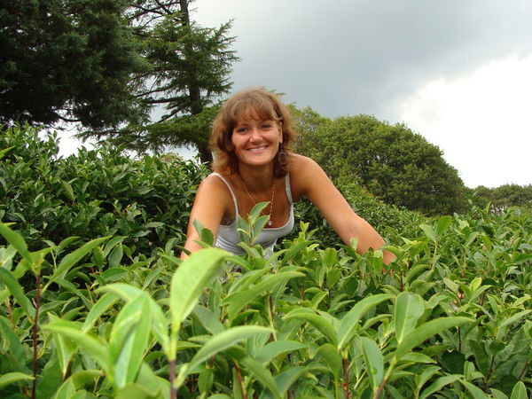 Елена Горбунова