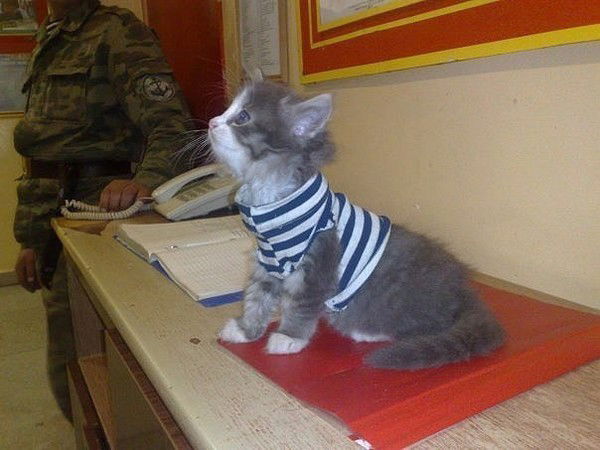 Валерий Соколов